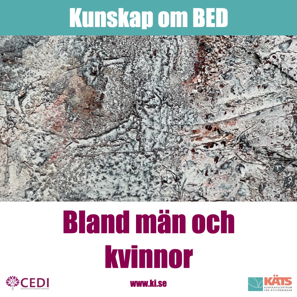 CEDI_KI photo