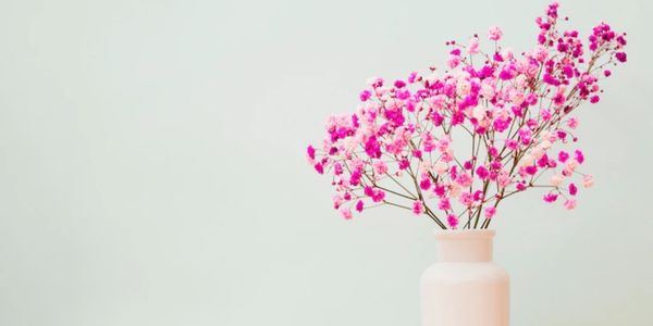 SusantaSanpui's tweet photo. What is the alternative, you may wonder? The use of sola wood flowers is currently popular. These #fakeflowers are rapidly gaining popularity in home decor, weddings, and other settings.
#solawoodflower
#solaflowers
#solapaperflowers
https://t.co/XBpX9O7uhn https://t.co/NAzaPyuTcb