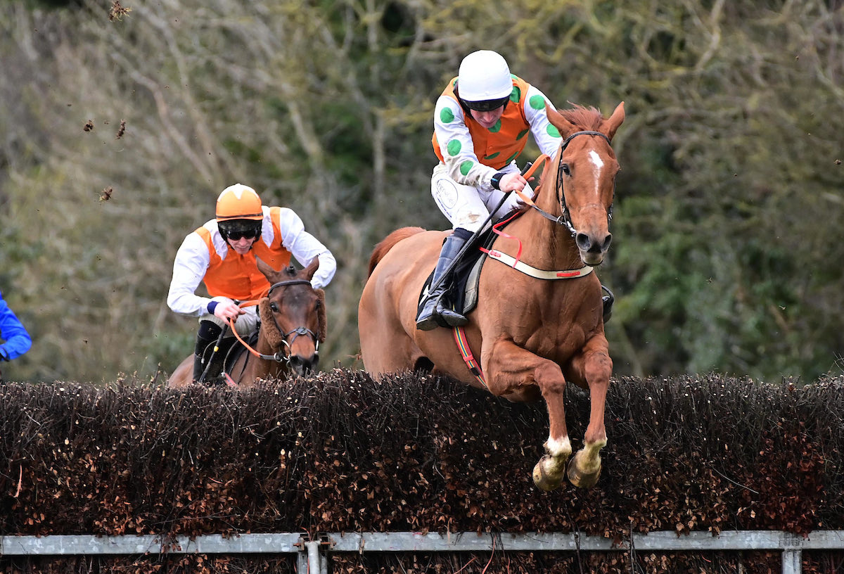 Fortune Dancer ⁦<a href="/jamie_scallan1/">Jamie Scallan</a>⁩ won the 5yo mares maiden in Tinahely for ⁦<a href="/farmerdoyle16/">Sean Doyle</a>⁩ ⁦<a href="/MonbegStables/">Monbeg Stables</a>⁩ 📸 healyracing.ie