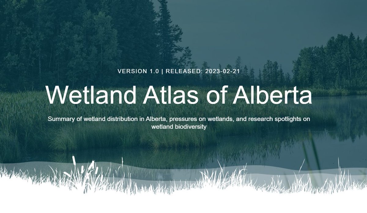 Introducing the Wetland Atlas of Alberta
wetland-report.abmi.ca
Check the thread for some highlights of our latest core report 👇
#Wetlands #WetlandScience #AquaticInvertebrates #ABMIatWork
1/n