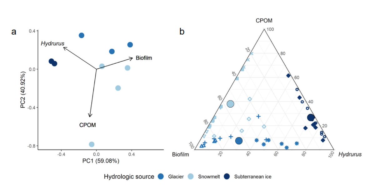 Scott Hotaling tweet media