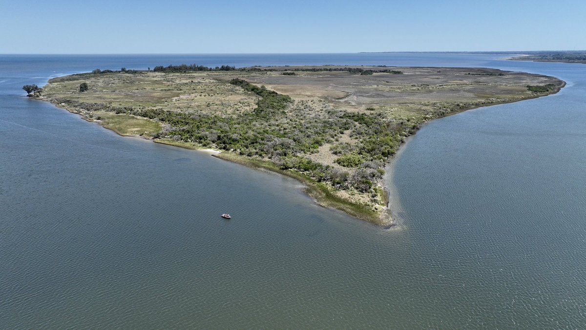 Dentro de las múltiplas tareas asociadas a los #Drones hoy <a href="/MGAPUruguay/">MGAP</a>, <a href="/sanjosegobierno/">Intendencia de San José</a> y <a href="/ADESUruguay/">prensa@ades.org.uy</a> relevando diferentes zonas en modo de prevención.
#InfluenzaAviar 

#YatchClubUruguayo 
#MarinaSantaLucía
<a href="/TierraHumedales/">Tierra de Humedales</a> 
<a href="/Gonzalosimone/">Gonzalo Simone</a> <a href="/SebaChiozza1/">Sebastián Chiozza</a>
