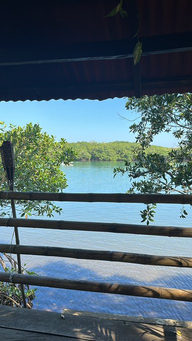 Hace poco dije que cuando se cierran puertas se abren ventanas con vista al mar. Esta es la ventana https://t<a href="/tag/subscribe"class="tags"><span>#subscribe</span></a><a href="/tag/onlyfans"class="tags"><span>#onlyfans</span></a><a href="/tag/morningseex"class="tags"><span>#morningseex</span></a><a href="/tag/sellingcon"class="tags"><span>#sellingcon</span></a>