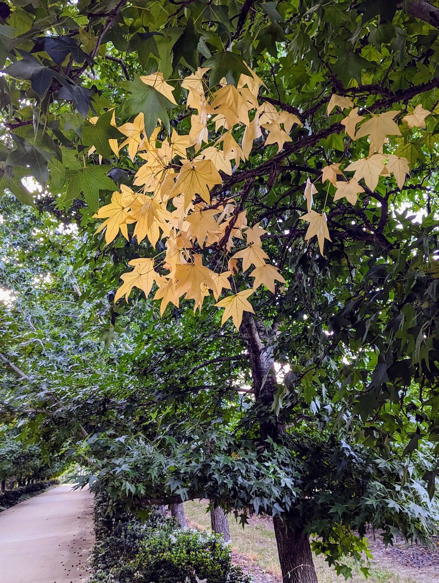 Stensgroup's tweet photo. It's that time of year . https://t.co/kA2MbPhQU2