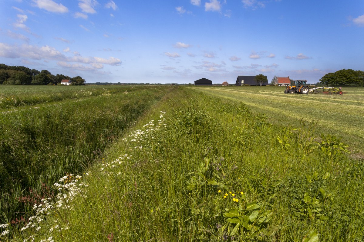 Landbouw en Voedsel Brabant tweet media