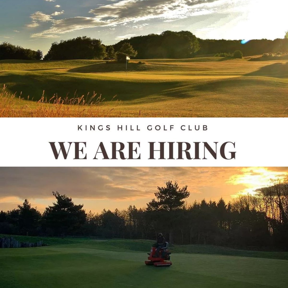 HarryKHGC's tweet photo. ASSISTANT GREENKEEPER REQUIRED!

This will be an ideal opportunity for those wishing to develop their Greenkeeping careers and thrive in a dynamic and challenging environment. Level 2 Greenkeeping qualification desirable but not essential.
 https://t.co/poBWT3waKd https://t.co/eoX5HKEnSH