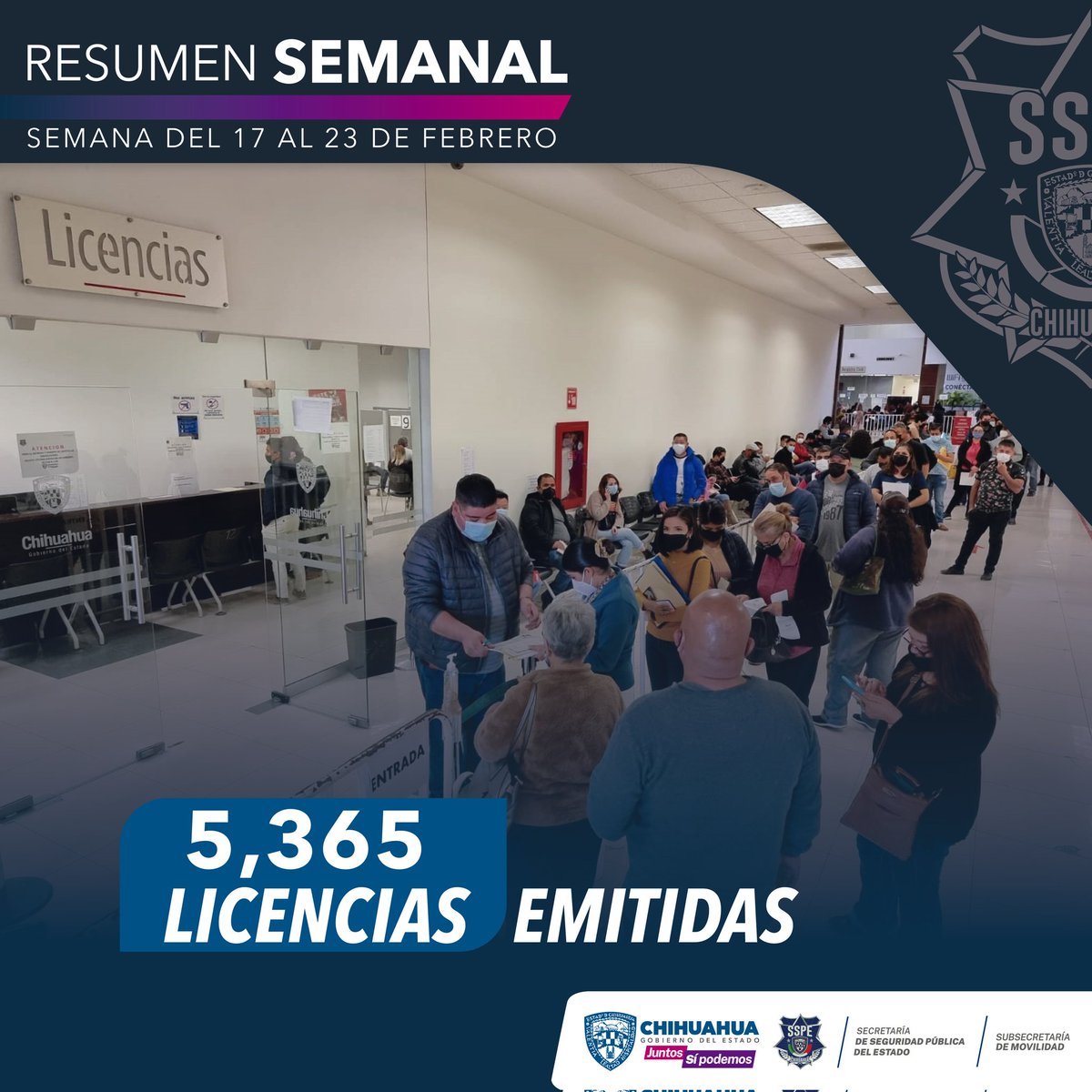 SSPE Chihuahua tweet media