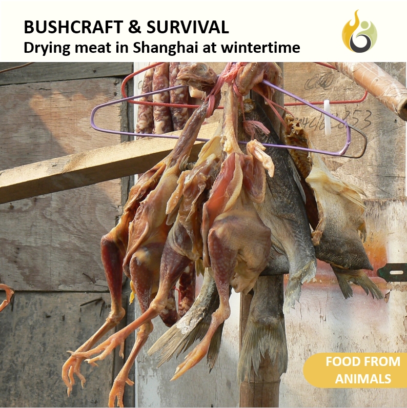 Bushguide101 tweet media