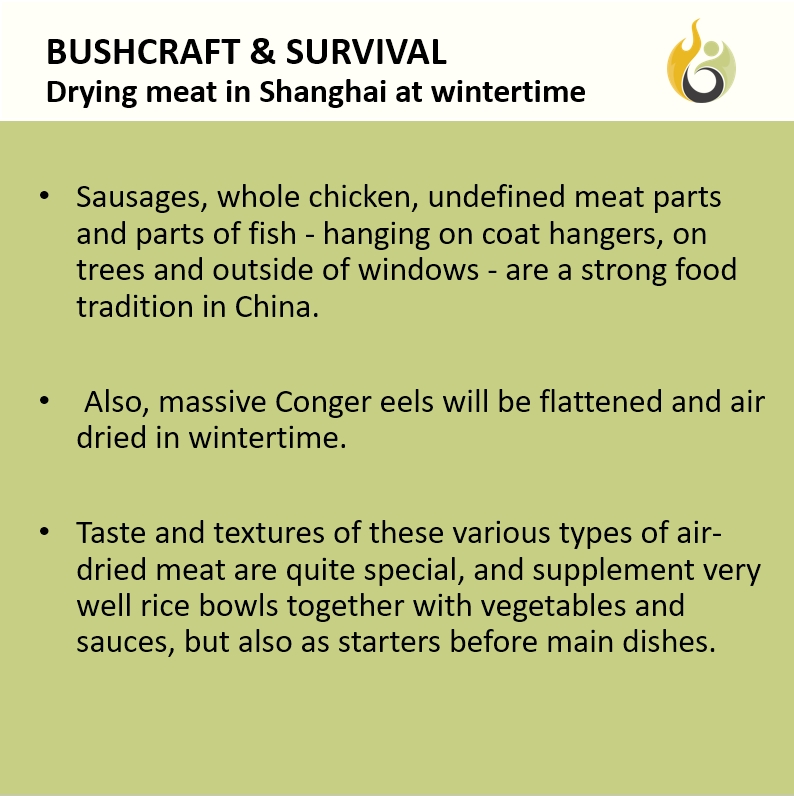 Bushguide101 tweet media