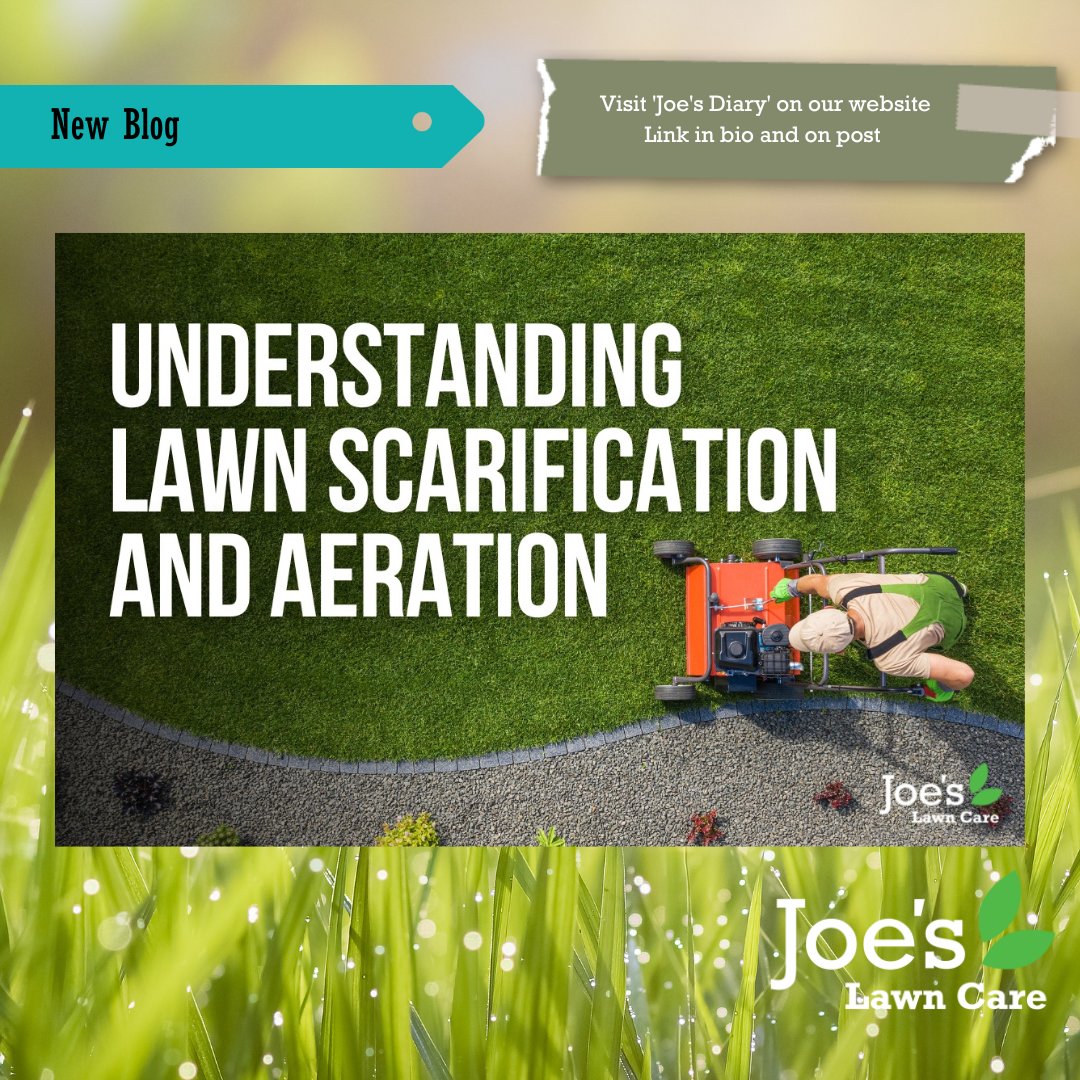 Joe's Lawn Care 🌱 tweet media