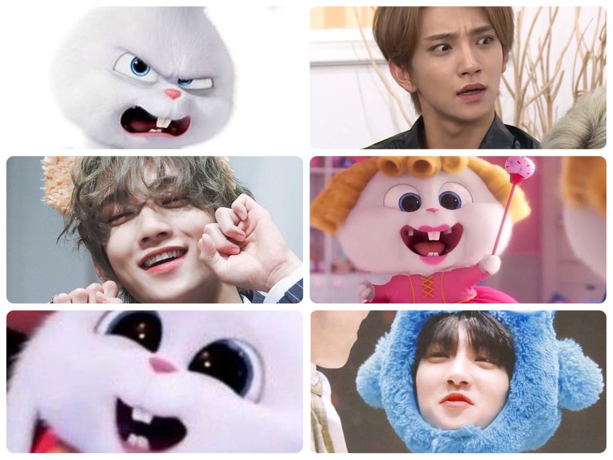 らぴ🐰🫧 tweet media