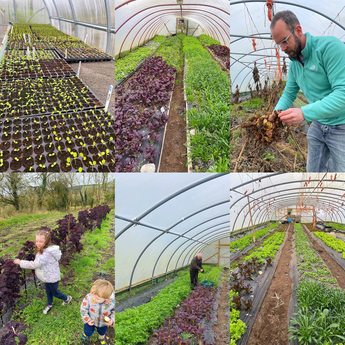 houseofplatesx's tweet photo. Organic farm visit today to check in with Joe Kelly. Lots of exciting flavours in our new spring menu starting this week. #mayofood #organicfood #thisisirishfood #castlebar #mayofoodanddrink https://t.co/Dext9usVWR