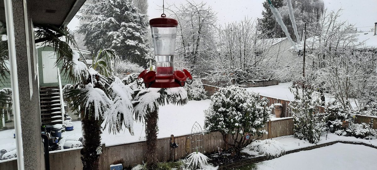 Last day of February 😆 #ShareYourWeather #LadnerBC