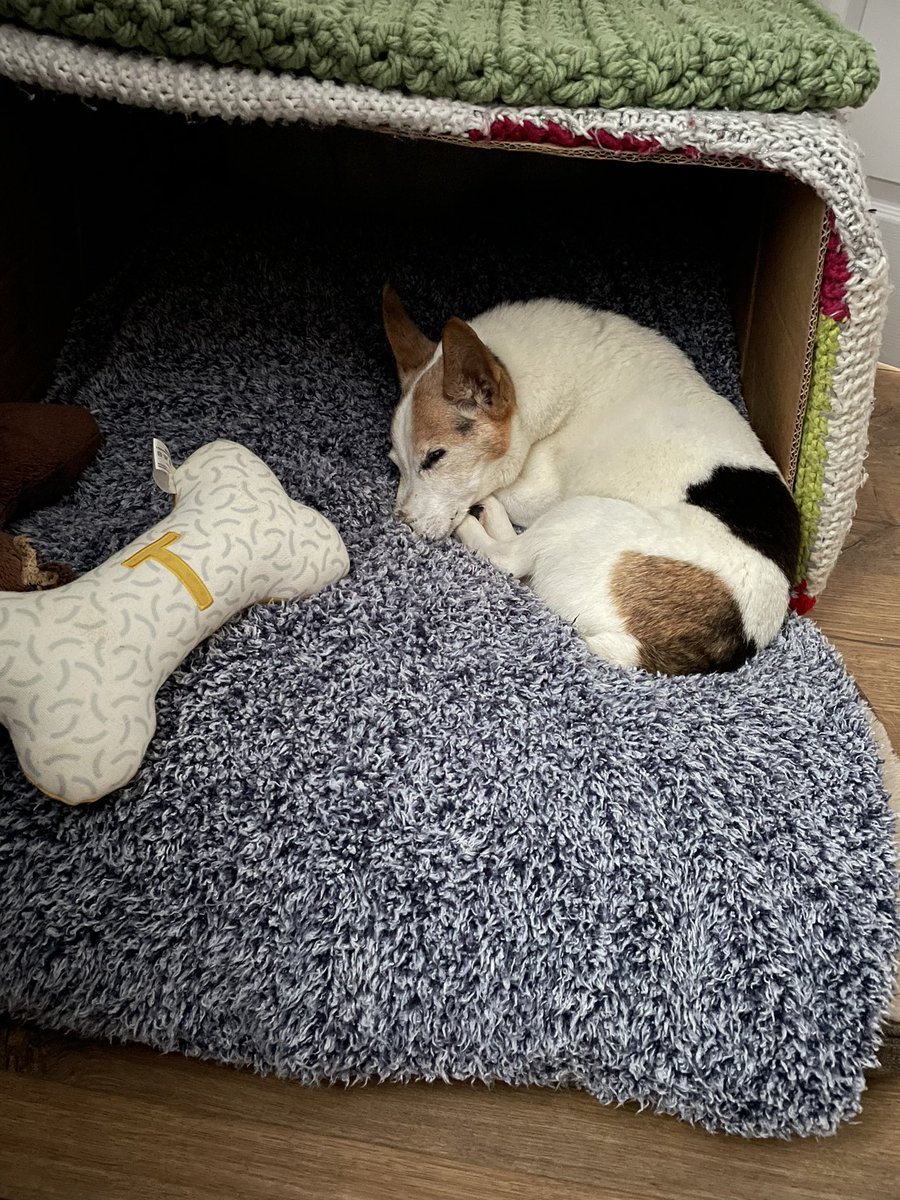 karen devine 🌈 tweet media