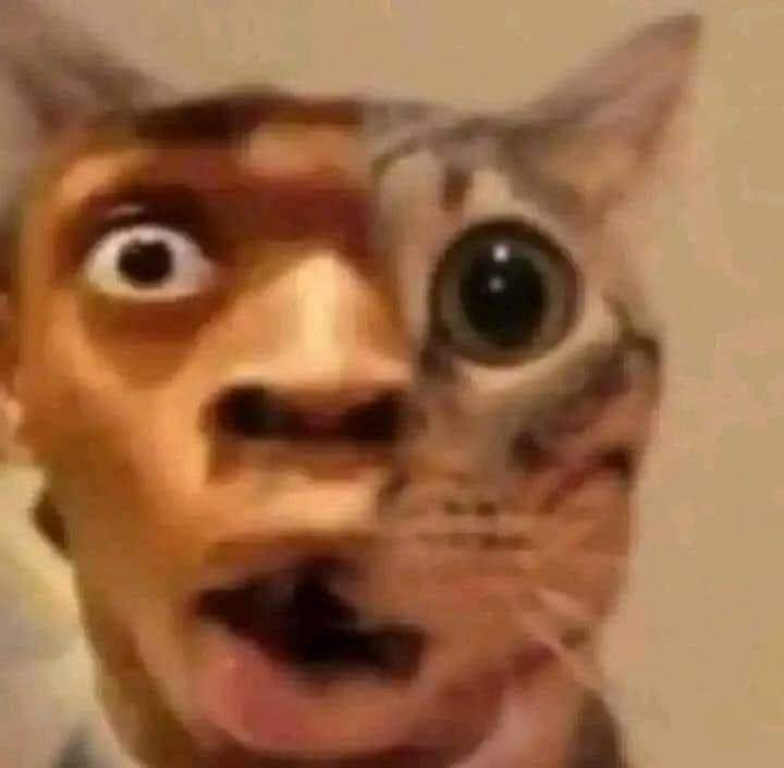 TerrorezzZ's tweet photo. Face reveal https://t.co/5lT7Ly2Qy0