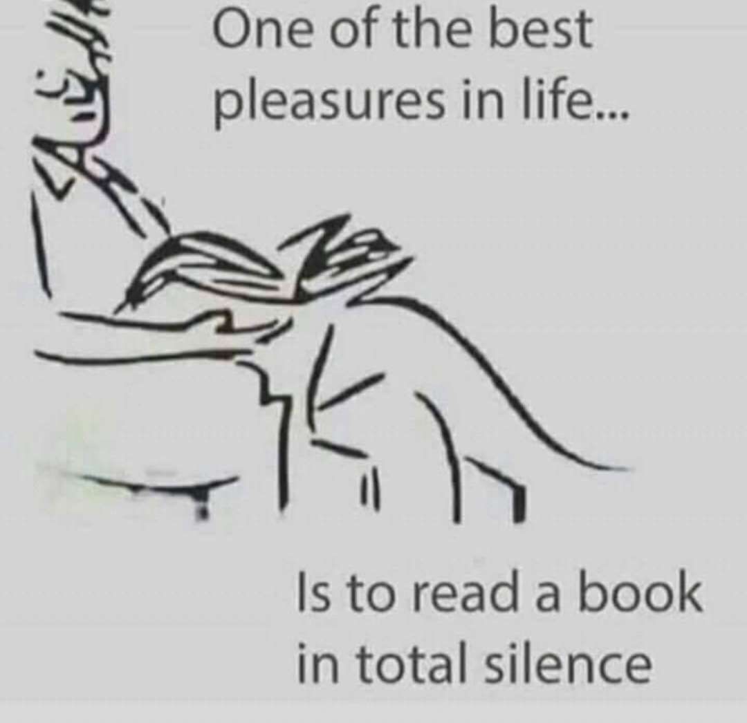 sito_rito's tweet photo. #relaxation https://t.co/8pLt59GEJl