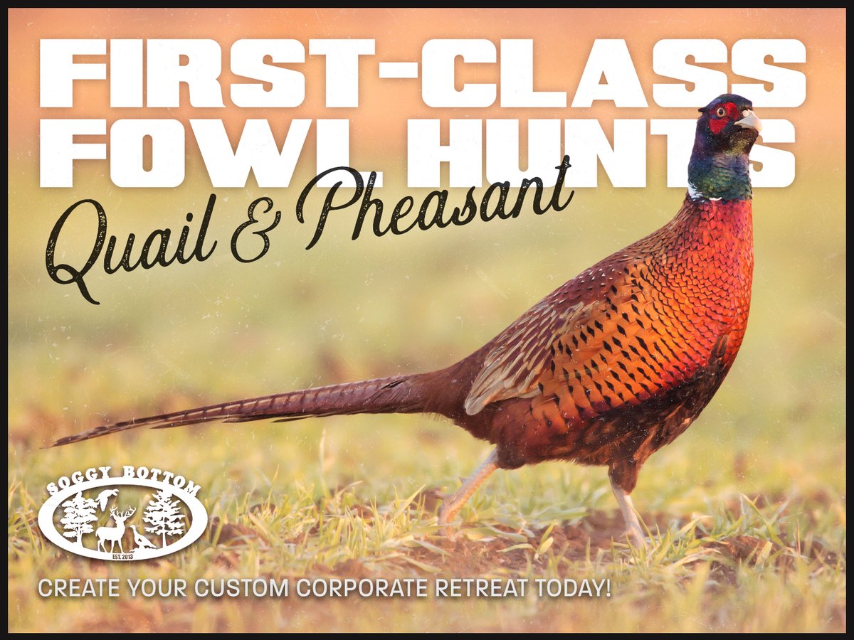 SBLest2013's tweet photo. If you don't have a pheasant hanging on your wall, here is your sign. 🛑 https://t.co/qYU0yDwZBT