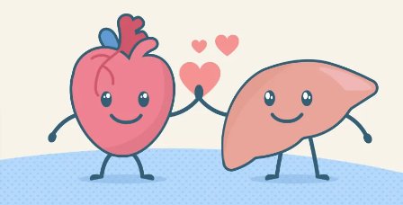 theliverdoc's tweet photo. Minimum 3 cups of coffee reduce blood pressure.
Minimum 3 cups of coffee improve fatty liver.

3 cups of coffee* are all you need.

*make it black https://t.co/FrGYU1di99