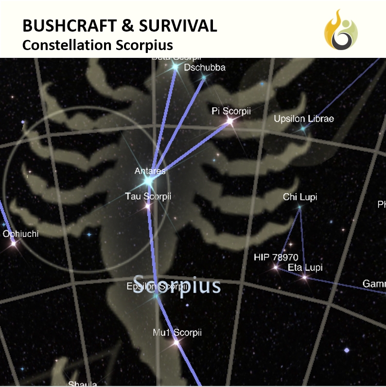 Bushguide101 tweet media