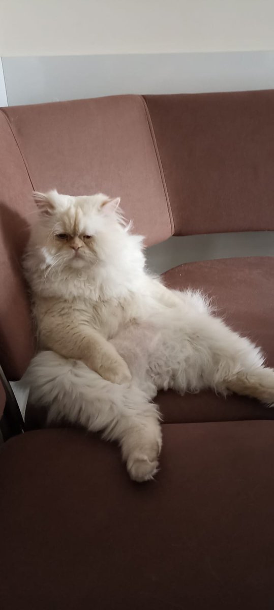 Yıkılmadım ama ayakta mıyım orası da şüpheli..
