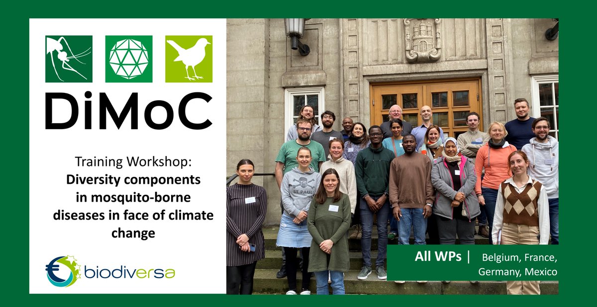DiMoC (@dimoc11) on Twitter photo We are very happy to announce that 15 participants and 14 lecturers from 7 countries are meeting @BNITM for the #DiMoC <a href="/BiodiversaPlus/">Biodiversa+ (European Biodiversity Partnership)</a> Training workshop on mosquito identification, modelling species distribution, One Health concept in experimental setups and vector control. We are very happy to announce that 15 participants and 14 lecturers from 7 countries are meeting @BNITM for the #DiMoC <a href="/BiodiversaPlus/">Biodiversa+ (European Biodiversity Partnership)</a> Training workshop on mosquito identification, modelling species distribution, One Health concept in experimental setups and vector control.