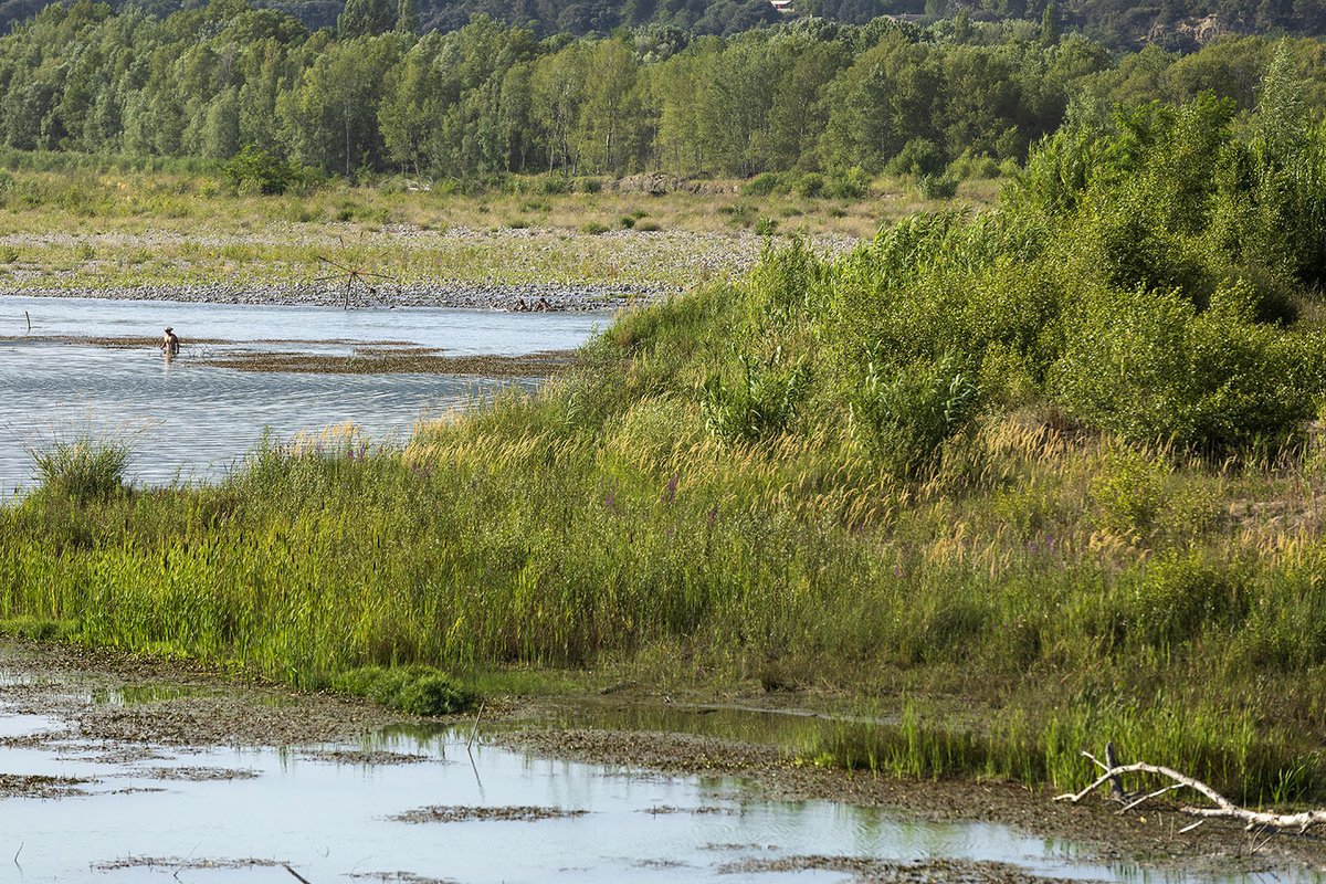 💧Sécheresse : Quel risque de sécheresse du système Durance – Verdon pour le printemps – été à venir ?
Les réponses dans le bulletin du Durance SMAVD :
smavd.org/information-se…

#secheresse2023 #durance #irrigation #riviere #eau #verdon #EDF #meteofrance #vigieduranceverdon