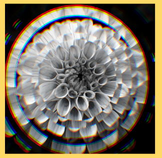 lovelandtech's tweet photo. A new favorite #DigitalGraphics lesson using @pixlr - making a #fractalmirror image.  A great project to learn how to create create shape layers, merging &amp; masking images. @Neptune_STEM @NeptuneSchools #futuregraphicdesigners https://t.co/2WLf8dhUFP