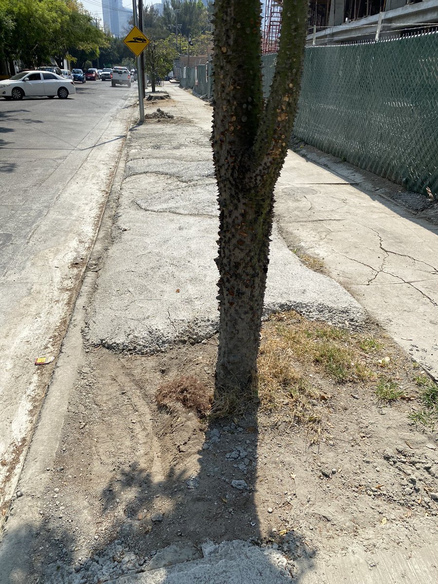 diegogum's tweet photo. No se vale que desechen el concreto en nuestras calles y banquetas, necesitamos más árboles y construcciones responsables. AYUDA @viveprovi @GuadalajaraGob @EnriqueAlfaroR @PabloLemusN @xaviersurvival @SOS_Mural @GobiernoMxJal @GDL_te_reprueba @PoderAG_Jal https://t.co/CYbD6uizps