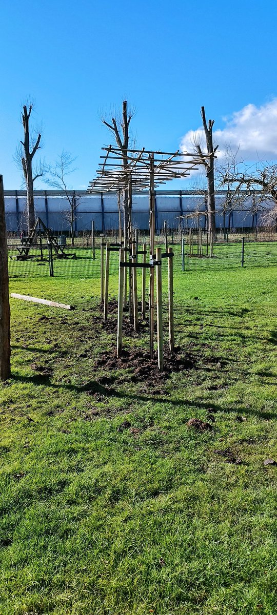Otterspoor's tweet photo. Omdat de populieren zijn #gesnoeid hadden de dieren op #kinderboerderij #Otterspoor in #Maarssen geen schaduw. Nu zijn er platanen geplant wat mogelijk is gemaakt door #gemeente #Stichtsevecht. Dank daarvoor mede namens de kleine geitjes. https://t.co/kWT83s7nEH