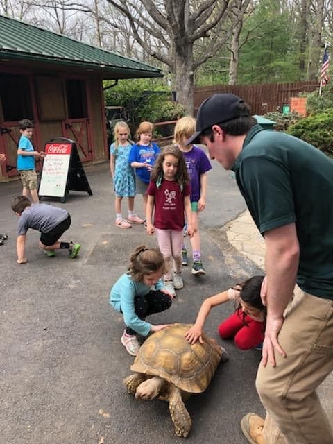 MillMountainZoo's tweet image. It's never too early to start planning for your child's spring break! Camp registration is open NOW! mmzoo.org/experiences/ev… #camps #springbreak #springbreakcamp #forkids #thingstodo #Roanoke #noke #camp #roanokeva #RoanokeVirginia #millmountainzoo #mmzoo #MMZ