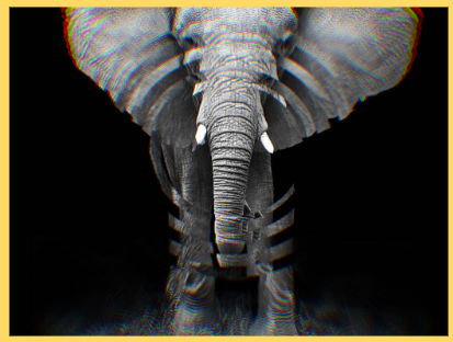 lovelandtech's tweet photo. A new favorite #DigitalGraphics lesson using @pixlr - making a #fractalmirror image.  A great project to learn how to create create shape layers, merging &amp; masking images. @Neptune_STEM @NeptuneSchools #futuregraphicdesigners https://t.co/8nV9yw86BR
