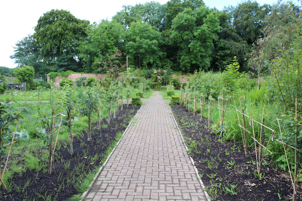 We will be doing a spot of painting, as well as gardening, on Saturday (March 4) at Distington Walled Garden. 

Volunteers are welcome to come along from 10am – 12 noon to help us paint arches in preparation for our fruit trees and do some general pruning of the garden.