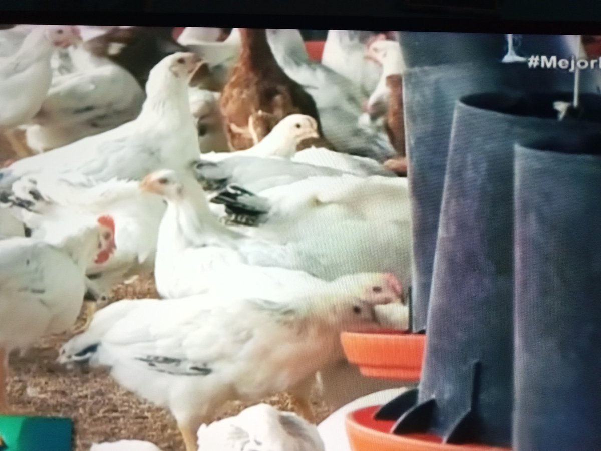 Los apicultores pinareños van por más en la producción de alimentos al pueblo, #MejorEsPosible