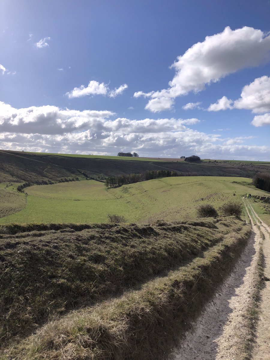 Scrimgeour_l's tweet photo. T-shirt Tuesday(no medals) Just about the toughest run I’ve ever done. Fall at mile 5 ,bursting my Camelbak.Covered in water,freezing cold.13 miles instead of 12,including an extra hill ,thanks to poor marshalling .Made of tough stuff @UKRunChat @pewseyvalerc #hills #toughstuff https://t.co/inMM6r6RqC