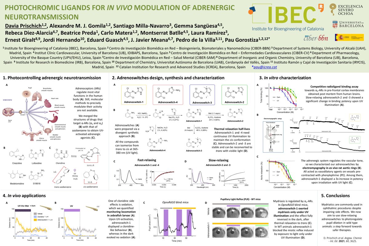 Excited to share my #RSCPoster on 'Photochromic ligands for in vivo modulation of adrenergic neurotransmission' 💡Looking forward to your comments!  #RSCChemBio