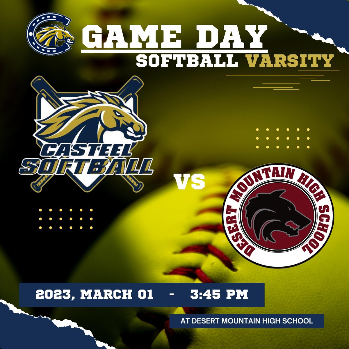 CCHS Softball Booster Club tweet media