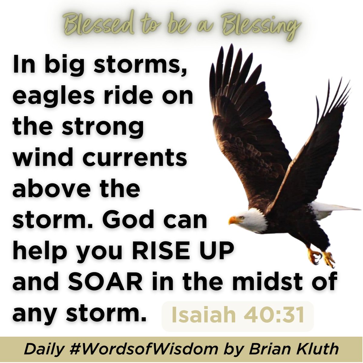 Generosity_Guy's tweet image. Day 19 - #CalendarQuotes #WordsofWisdom  #LiveaLifeofFAITH (Fantastic Adventures In Trusting Him) #DailyInspiration #Brianisms #OvercomingProblems #SoarLikeanEagle #WaitOnTheLord #Isaiah4031