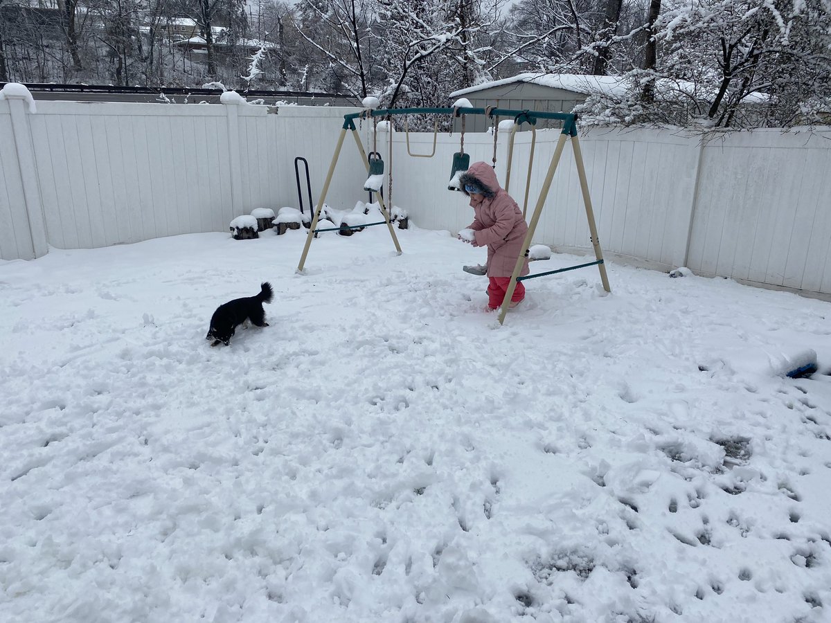 Gpk_bskilley's tweet image. #snowday For Everyone Today! #njsnow Armani enjoying the snow for the first time. The Other 2 🐕 are to busy enjoying the family room