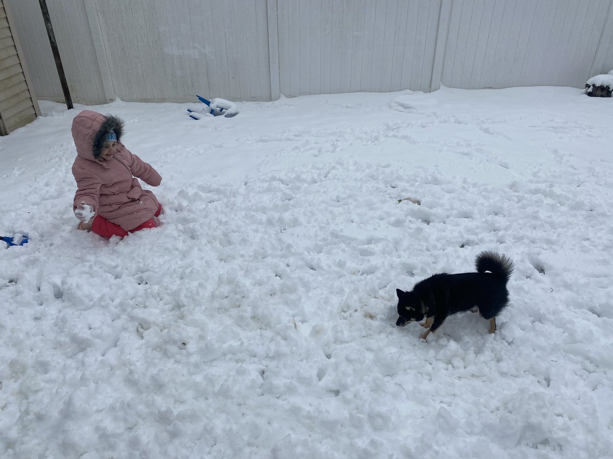 Gpk_bskilley's tweet image. #snowday For Everyone Today! #njsnow Armani enjoying the snow for the first time. The Other 2 🐕 are to busy enjoying the family room