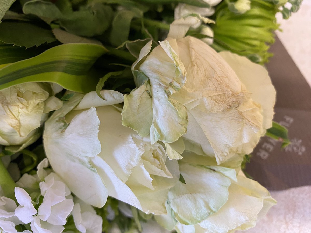 JanetMWhitehead's tweet photo. Such a shame when someone sends you @marksandspencer flowers for your birthday.. they always arrive a bit bedraggled and droopy 😢 Such a waste of money for the sender. I do keep telling people not to bother 🤦‍♀️ https://t.co/h7mc9Bpl01