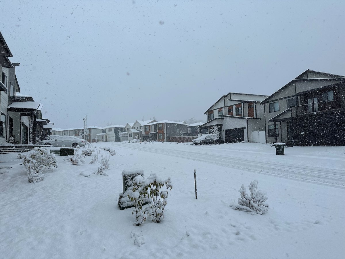 CascadiaDaily's tweet photo. Whatcom County is blanketed in snow, with more on the way. Watch for our story soon with updates throughout the day. Reply below with your snow photos. ⬇️ https://t.co/o1GjWlJ7xm