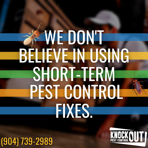 knockoutpest1's tweet photo. Effective pest control doesn’t simply involve treating an existing issue and hoping it doesn’t return. Treatment plans from Knockout Pest Control ensure the issue is resolved and measures are put in place to protect it from reoccurring in the future!

https://t.co/I3uV7t4fy7 https://t.co/jOWXrZAkkk