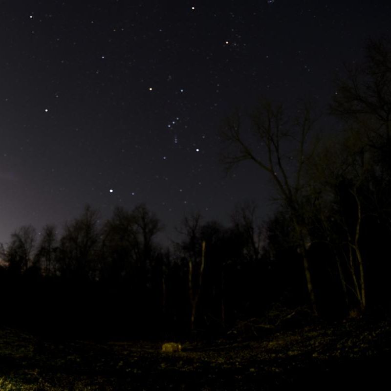 PRComEd1's tweet photo. A MAJOR shout out to Jason Bauman, who attended our Starry Night class with his daughter and shared with us these amazing photos he took of the stars that night! 🤩
Have photos from our programs you'd like to share? Tag us on social media with the hashtag #prcomed! https://t.co/GekoFi8CTN