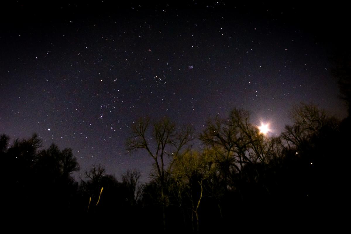 PRComEd1's tweet photo. A MAJOR shout out to Jason Bauman, who attended our Starry Night class with his daughter and shared with us these amazing photos he took of the stars that night! 🤩
Have photos from our programs you'd like to share? Tag us on social media with the hashtag #prcomed! https://t.co/GekoFi8CTN