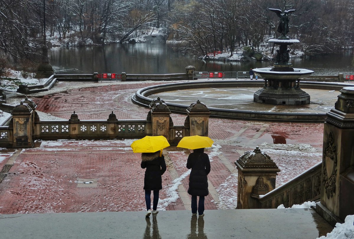 Gary Hershorn (@garyhershorn) on Twitter photo Finally a bit of snow in Central Park after an overnight snowfall in New York City, Tuesday #newyork #newyorkcity #nyc #snow <a href="/CentralParkNYC/">Central Park</a> <a href="/agreatbigcity/">A Great Big City</a> #centralpark Finally a bit of snow in Central Park after an overnight snowfall in New York City, Tuesday #newyork #newyorkcity #nyc #snow <a href="/CentralParkNYC/">Central Park</a> <a href="/agreatbigcity/">A Great Big City</a> #centralpark