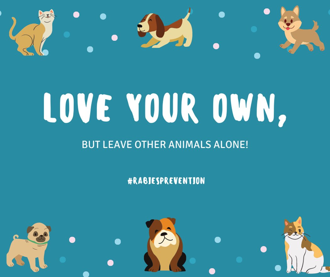 Teach children to stay away from wild and unfamiliar animals, and to tell an adult immediately if they have been bitten.    Let’s remember to love our own and leave others alone! 💗 #rabiesprevention