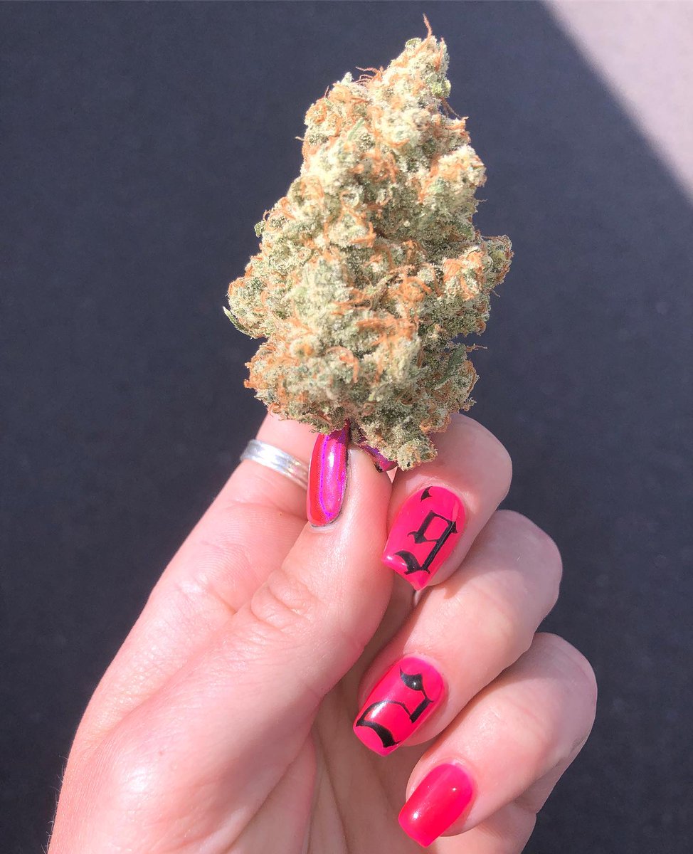 This strain is my go-to for gettin’ shit done.jack h x bubblegum.Perfect for pre-workout,when you can’t seem to get motivated to clean the house, adventuring & more. What would you do if you had a little extra OOMPH?! 😆☀️🍬💕  #terps #weshouldsmoke #womenincannabis