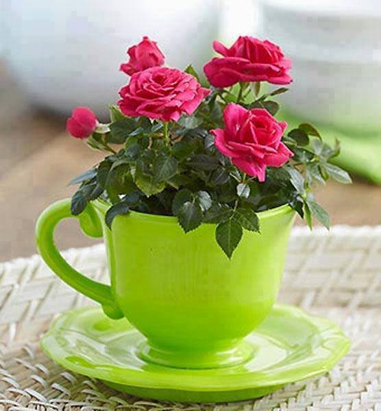 Tudoroi39's tweet image. До завтра!