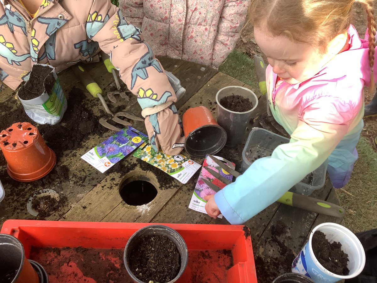 stdavidsrc2017's tweet image. Outdoor learning morning today. Lots of looking and listening  for signs of spring, planting our potatoes, flower seeds and making a lovely spring cake in the mud kitchen. Thank you @branchoutlearn #sdpsnurs #seizetheseason #springisonitsway