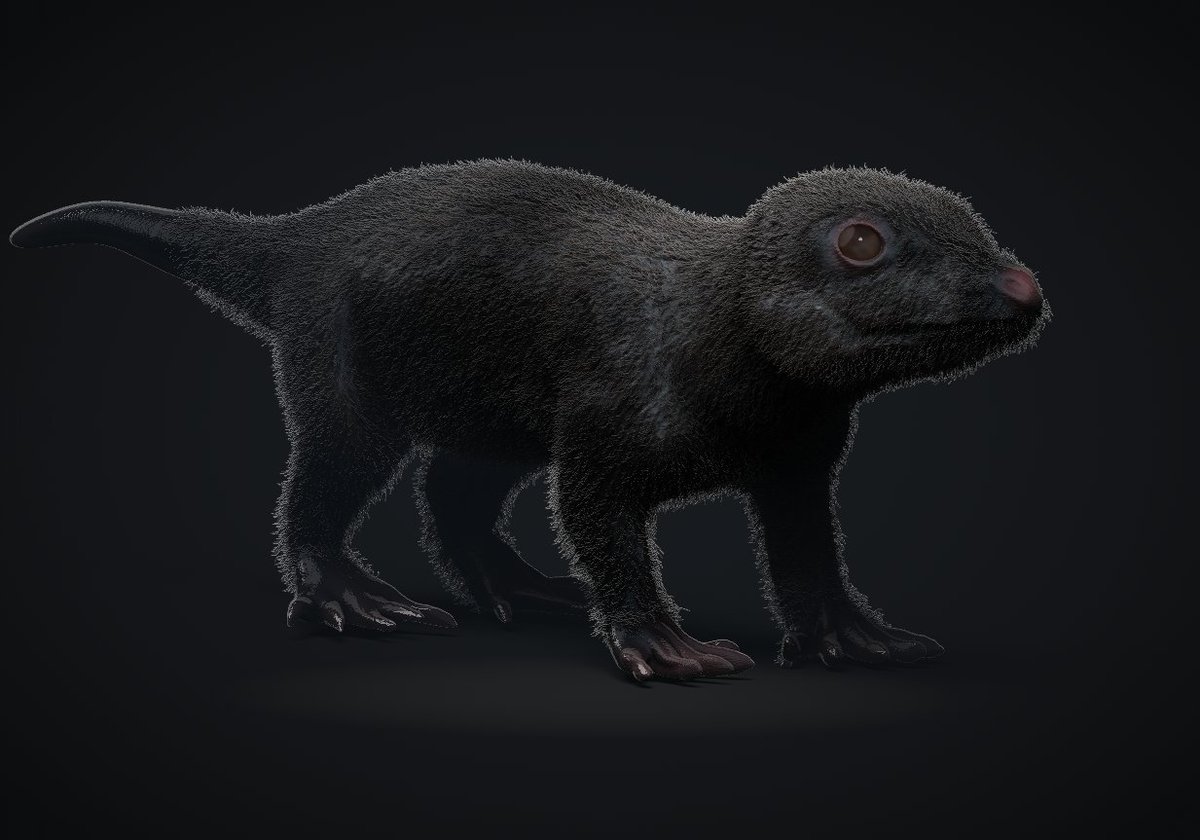vankev's tweet image. Day 26 irajatherium

#FossilFebruary #FossilFebruary2023 #zbrush